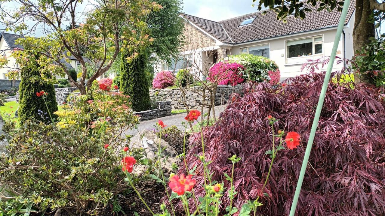 Laburnum B&B Kenmare Dış mekan fotoğraf