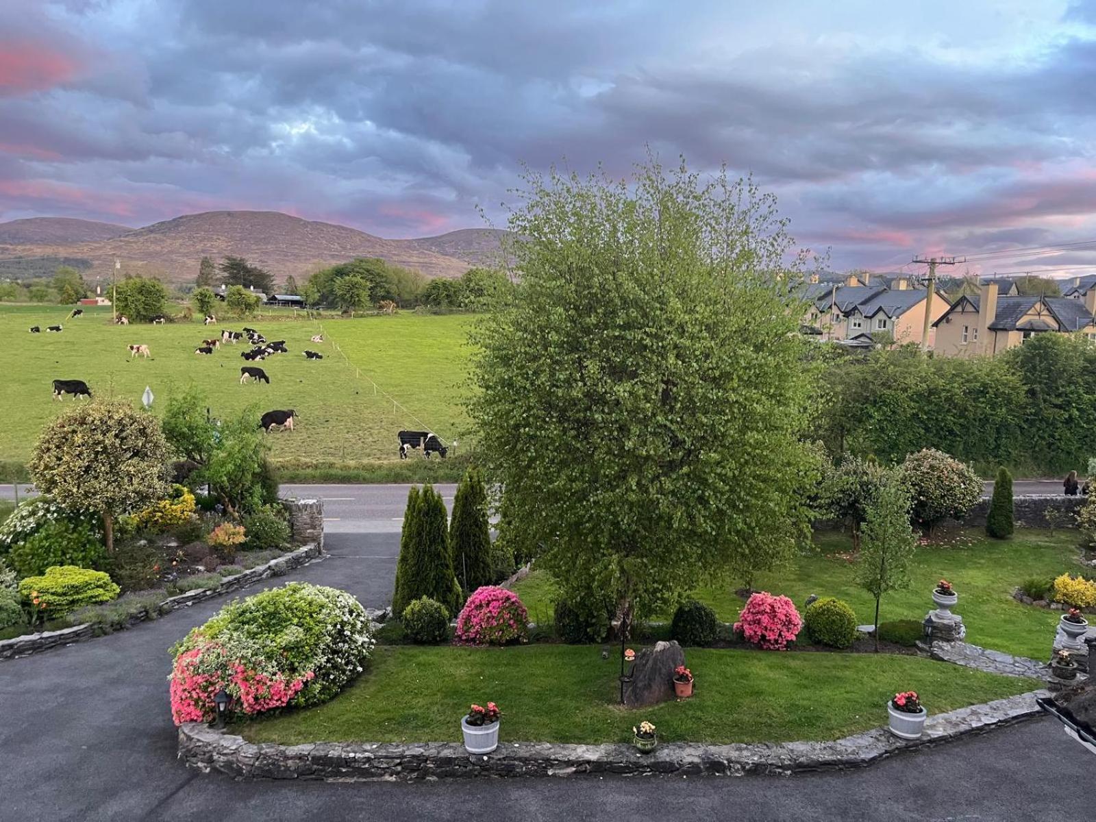 Laburnum B&B Kenmare Dış mekan fotoğraf