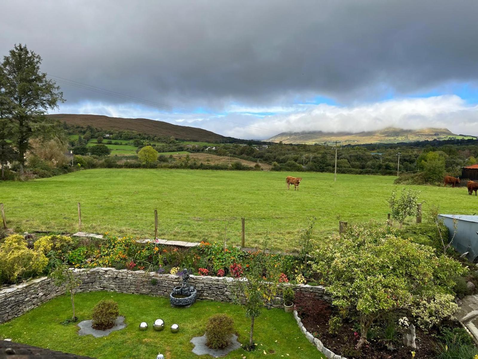 Laburnum B&B Kenmare Dış mekan fotoğraf